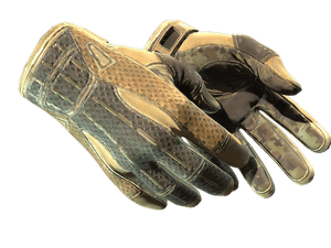 ★ Sport Gloves \| Arid (Field-Tested)