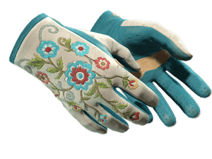★ Driver Gloves \| Garden (Field-Tested)