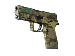 P250 \| Boreal Forest (Field-Tested)