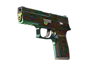 P250 \| Visions (Well-Worn)