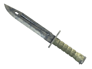 ★ Bayonet \| Stained (Well-Worn)