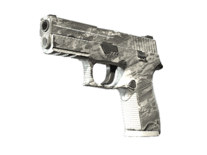 P250 \| Sleet (Field-Tested)