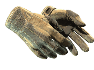 ★ Sport Gloves \| Arid (Battle-Scarred)