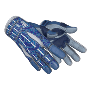 ★ Sport Gloves \| Amphibious (Minimal Wear)