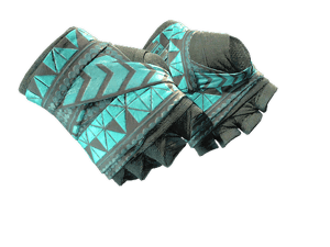 ★ Hand Wraps \| Overprint
