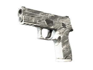 P250 \| Sleet (Minimal Wear)