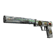 Souvenir USP-S \| Road Rash (Well-Worn)