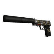 StatTrak™ USP-S \| Stainless (Factory New)