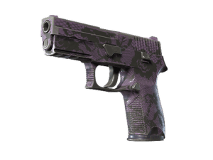 P250 \| Plum Netting (Field-Tested)