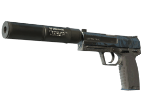 StatTrak™ USP-S \| Guardian (Field-Tested)