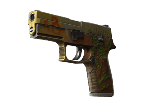 P250 \| Inferno (Battle-Scarred)