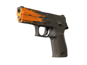 P250 \| Splash (Minimal Wear)