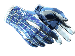 ★ Sport Gloves \| Amphibious (Minimal Wear)