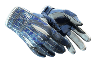 ★ Sport Gloves \| Amphibious (Battle-Scarred)
