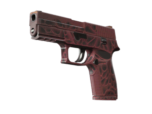 P250 \| Contaminant (Minimal Wear)