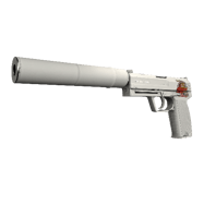 USP-S \| Whiteout (Field-Tested)