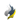 sdy