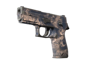 P250 \| Drought (Field-Tested)