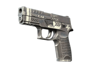 P250 \| Re.built (Minimal Wear)