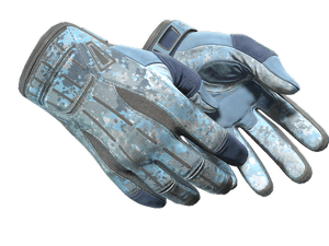 ★ Sport Gloves \| Frosty (Field-Tested)