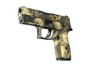 P250 \| Contamination (Field-Tested)