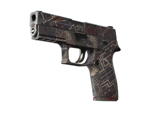 P250 \| Facility Draft (Field-Tested)