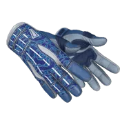 ★ Sport Gloves \| Amphibious (Battle-Scarred)