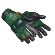 ★ Moto Gloves \| Turtle (Field-Tested)