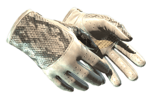 ★ Driver Gloves \| King Snake (Factory New)