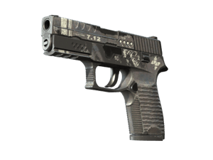 P250 \| Re.built (Battle-Scarred)
