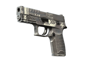 StatTrak™ P250 \| Re.built (Field-Tested)