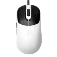 VAXEE ZYGEN NP-01S Glossy
