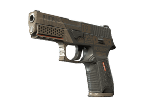 P250 \| Bullfrog (Field-Tested)
