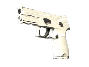 P250 \| Whiteout (Field-Tested)