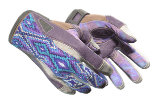 ★ Sport Gloves \| Violet Beadwork (Well-Worn)