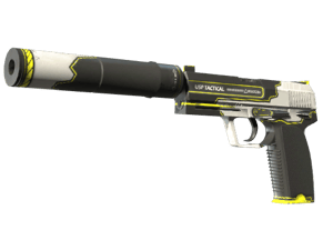 StatTrak™ USP-S \| Torque (Factory New)