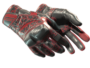 ★ Moto Gloves \| Blood Pressure (Field-Tested)