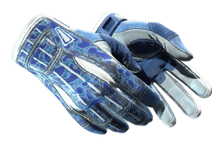 ★ Sport Gloves \| Amphibious (Field-Tested)