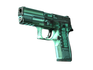 P250 \| X-Ray (Field-Tested)
