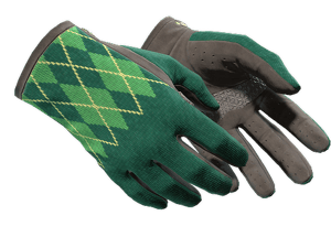 ★ Driver Gloves \| Hand Sweaters (Minimal Wear)