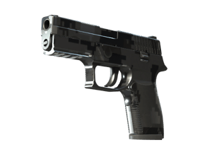 P250 \| Metallic DDPAT (Factory New)