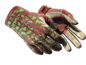 ★ Sport Gloves \| Bronze Morph (Field-Tested)