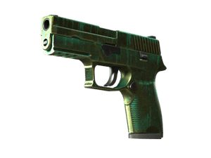 StatTrak™ P250 \| Verdigris (Battle-Scarred)