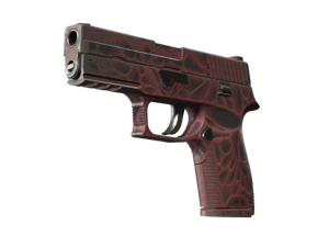 StatTrak™ P250 \| Contaminant (Field-Tested)
